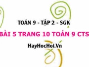 Bài 5 trang 10 Toán 9 tập 2 Chân trời sáng tạo